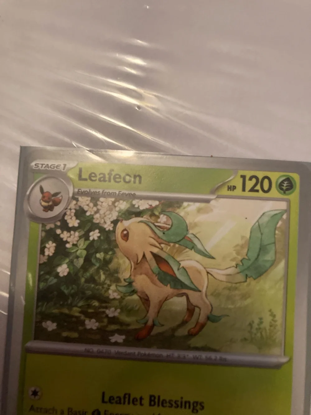 Pokemon Leafeon Green Trading Card and sleeve